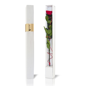 fiori per san valentino